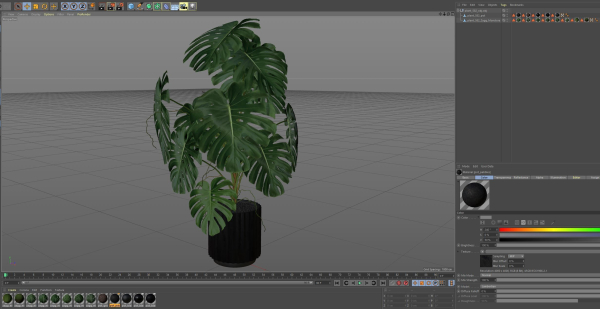 Plants collection 582