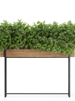 plants-collection-588-3d-model-max-obj-fbx-c4d-blend