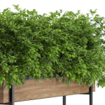 Plants collection 588