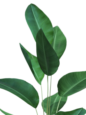 plants-collection-592-3d-model-max-obj-fbx-c4d-blend