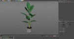 Plants collection 592