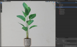 Plants collection 592