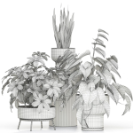 Plants collection 596