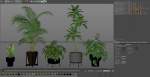 Plants collection 596