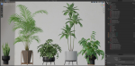 Plants collection 596