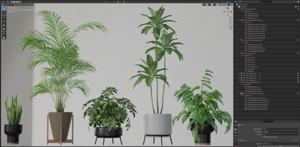 Plants collection 596