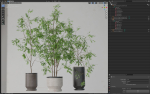 Plants collection 609