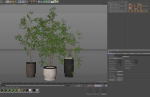 Plants collection 609