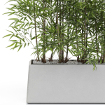 Plants collection 615
