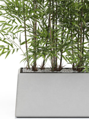 plants-collection-615-3d-model-max-obj-fbx-c4d-blend