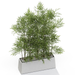 Plants collection 615
