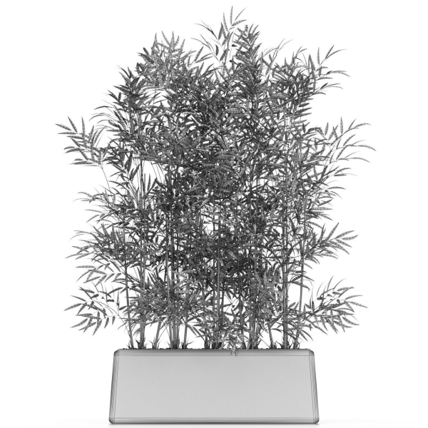 Plants collection 615