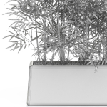 Plants collection 615