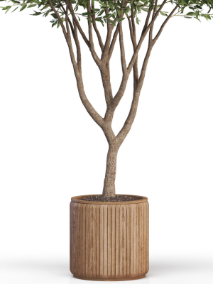 plants-collection-626-3d-model-max-obj-fbx-c4d-blend