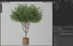 Plants collection 626