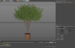 Plants collection 626