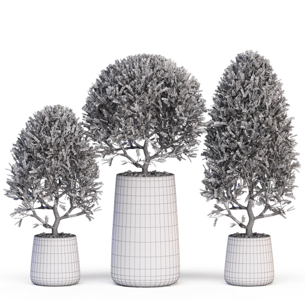 Plants collection 635