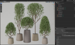 Plants collection 635