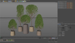 Plants collection 635