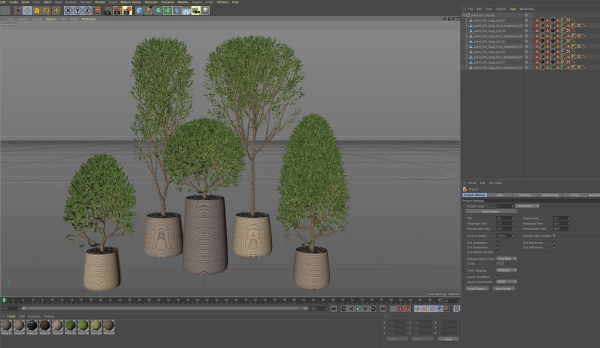 Plants collection 635
