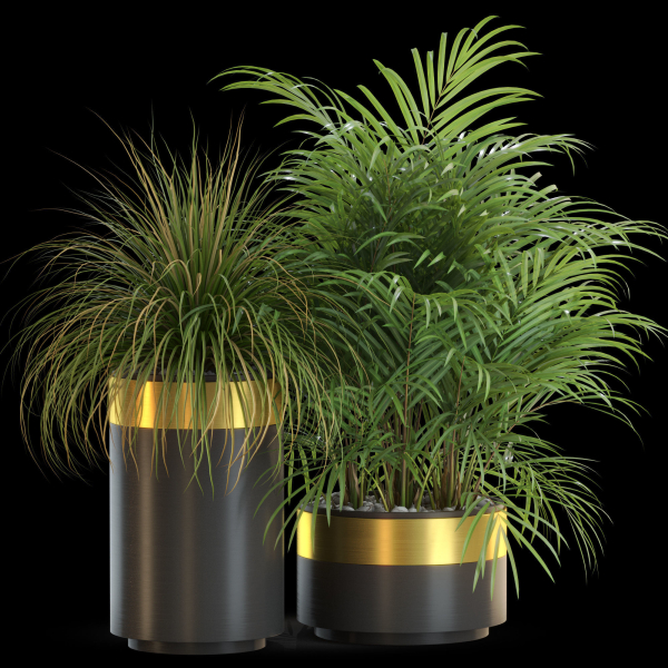 Plants collection 638