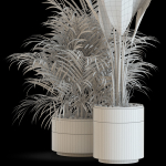 Plants collection 638