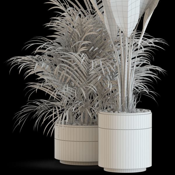 Plants collection 638