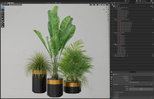 Plants collection 638