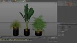Plants collection 638