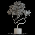 Plants collection 640