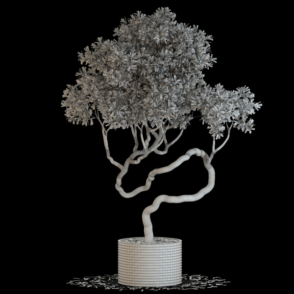 Plants collection 640
