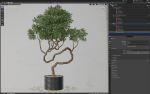Plants collection 640