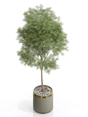 plants-collection-648-3d-model-max-obj-fbx-c4d-blend