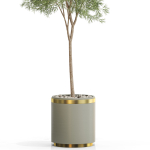 Plants collection 648
