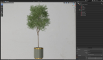 Plants collection 648