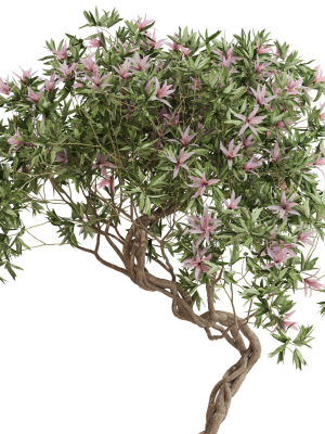 plants-collection-650-3d-model-max-obj-fbx-c4d-blend
