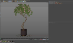 Plants collection 650