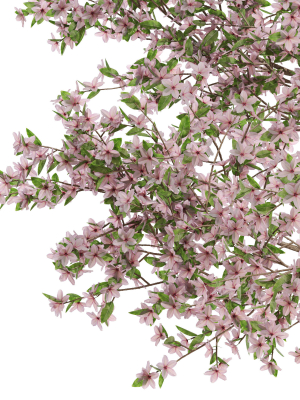 plants-collection-655-3d-model-max-obj-fbx-c4d-blend