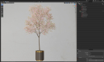 Plants collection 655