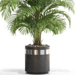 Plants collection 661