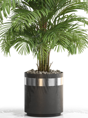 plants-collection-661-3d-model-max-obj-fbx-c4d-blend