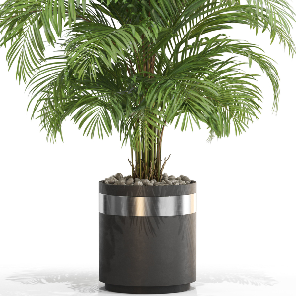 Plants collection 661