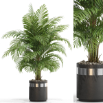 Plants collection 661