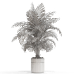 Plants collection 661