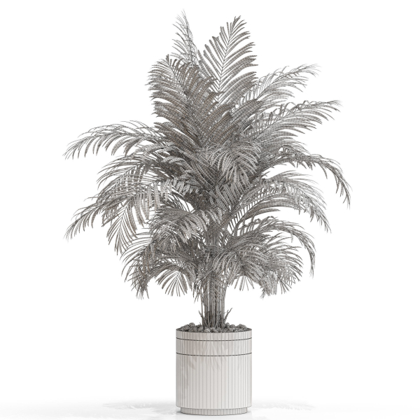 Plants collection 661