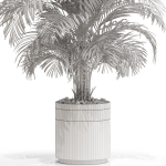 Plants collection 661