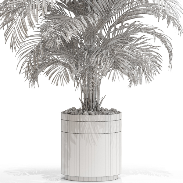 Plants collection 661