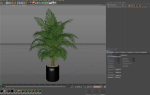 Plants collection 661