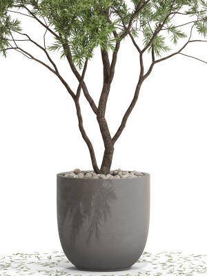 plants-collection-670-3d-model-max-obj-fbx-c4d-blend