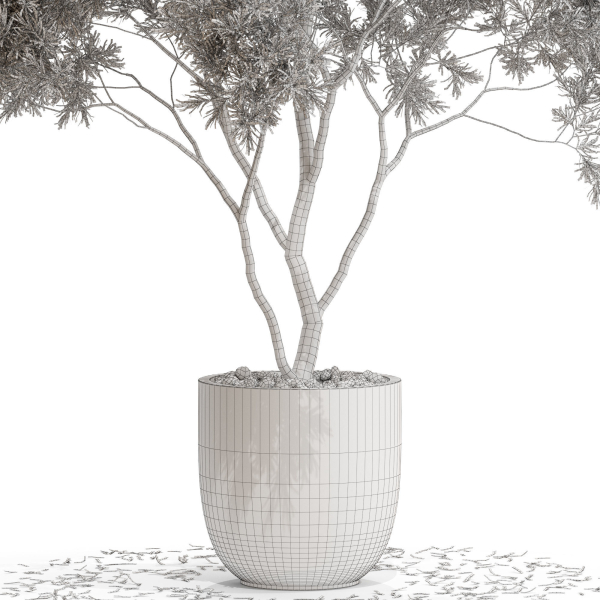 Plants collection 670